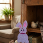 Bunny Rabbit Ornaments