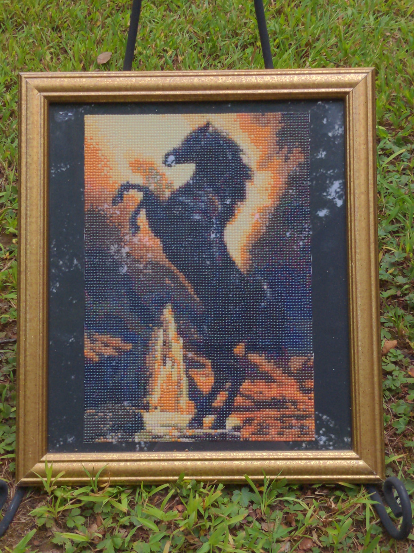 Black Beauty Diamond Art