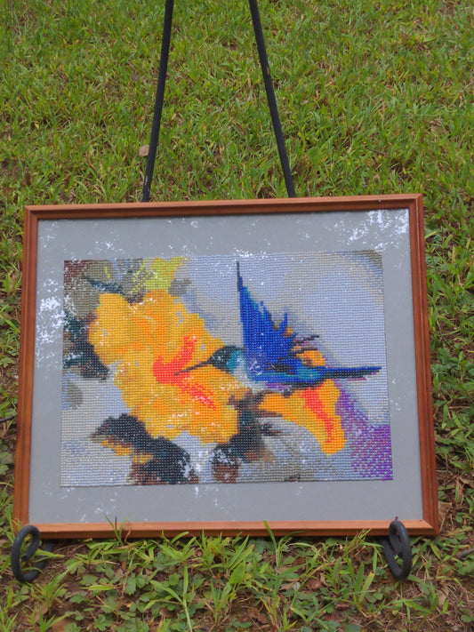Hummingbird Diamond Art