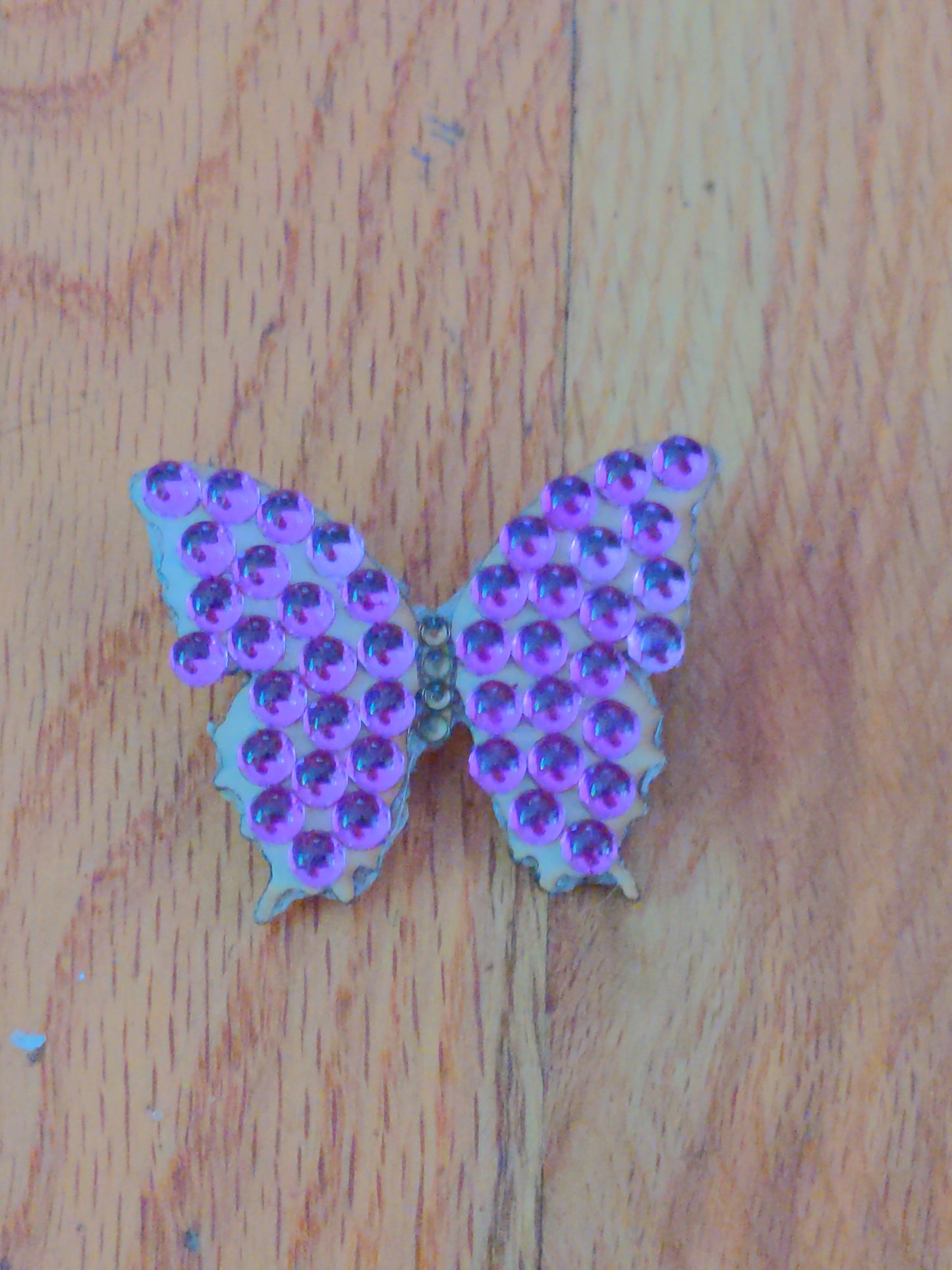 Butterfly Pins