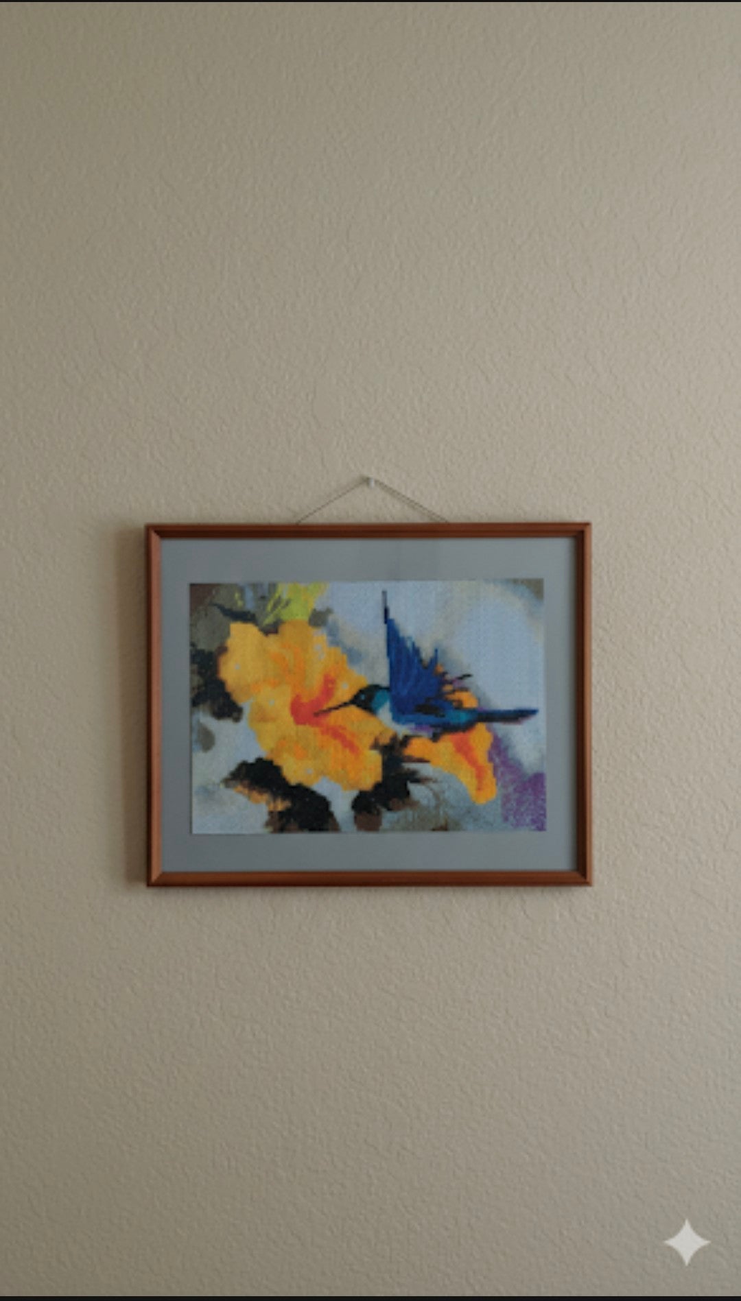 Hummingbird Diamond Art