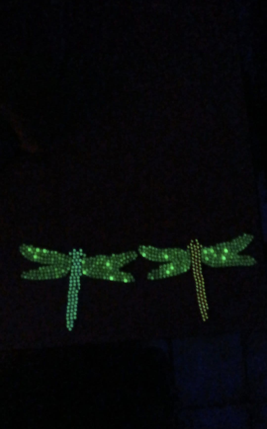 Glow in the Dark Dragonfly Ornaments